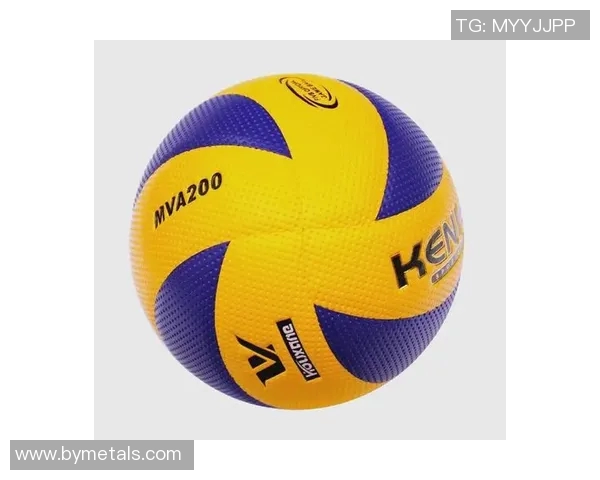 排球专题：深入分析西安排球队员的个人技术与战术素养